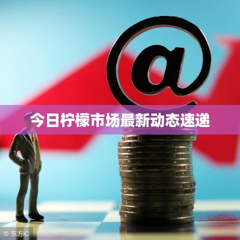 今日柠檬市场最新动态速递