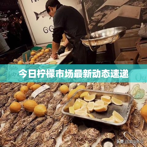 今日柠檬市场最新动态速递