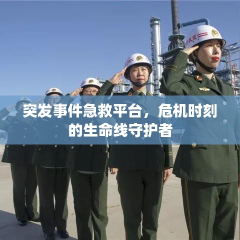 突发事件急救平台,危机时刻的生命线守护者