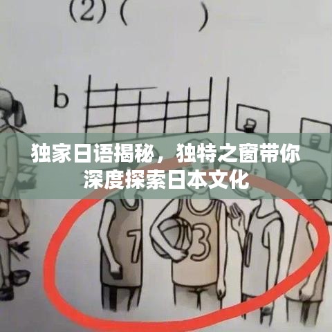 独家日语揭秘，独特之窗带你深度探索日本文化