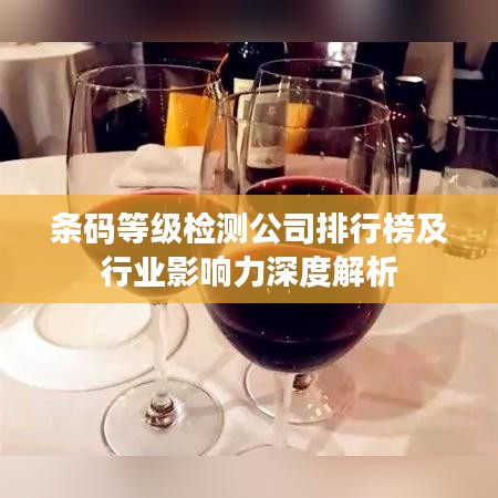 条码等级检测公司排行榜及行业影响力深度解析