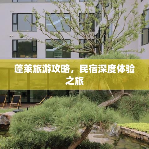 蓬莱旅游攻略,民宿深度体验之旅