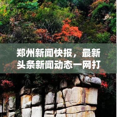 郑州新闻快报，最新头条新闻动态一网打尽