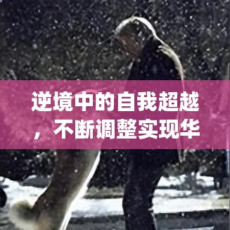 逆境中的自我超越,不断调整实现华丽转身的故事