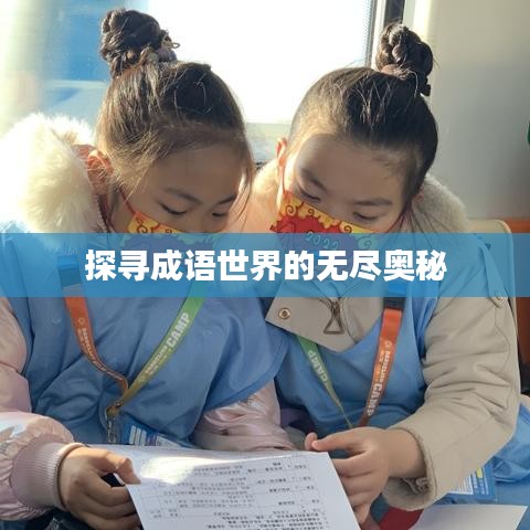 探寻成语世界的无尽奥秘