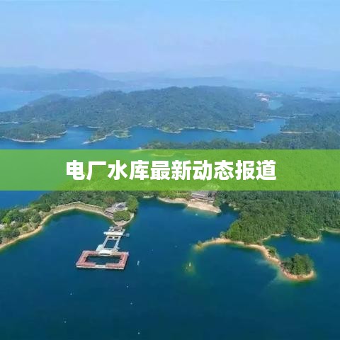 电厂水库最新动态报道