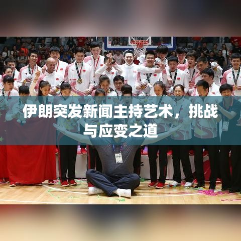 伊朗突发新闻主持艺术，挑战与应变之道