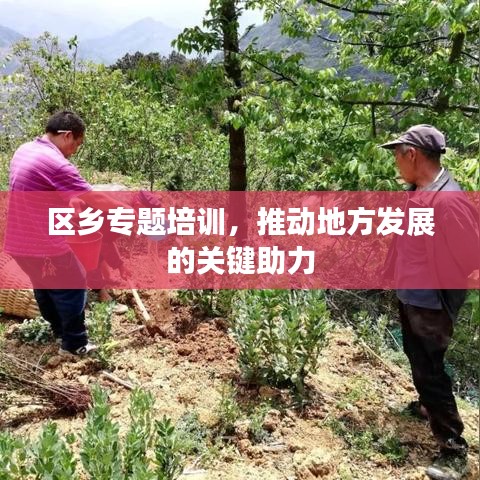 区乡专题培训，推动地方发展的关键助力
