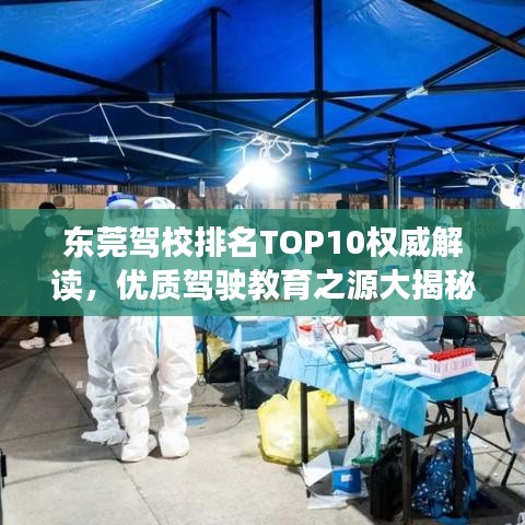 东莞驾校排名TOP10权威解读，优质驾驶教育之源大揭秘