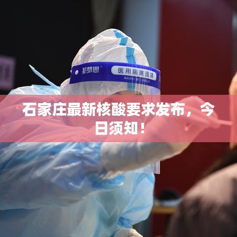 石家庄最新核酸要求发布,今日须知!