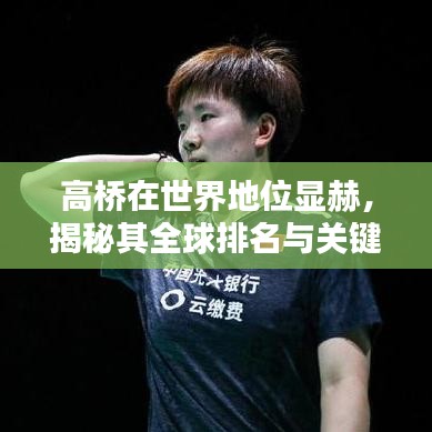高桥在世界地位显赫,揭秘其全球排名与关键影响力