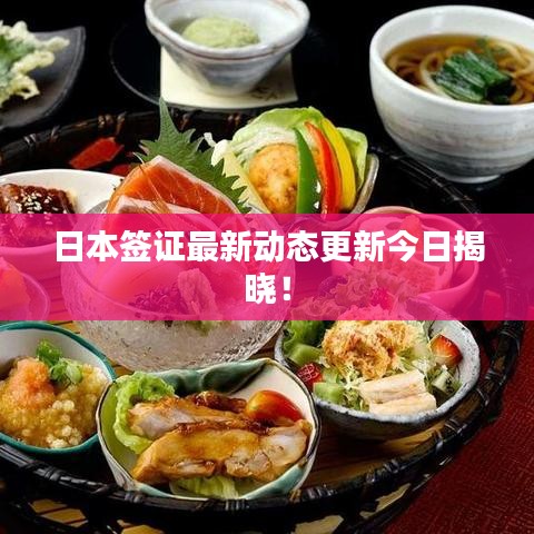 日本签证最新动态更新今日揭晓!