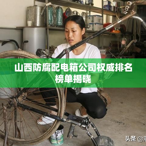 山西防腐配电箱公司权威排名榜单揭晓