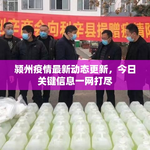 颍州疫情最新动态更新，今日关键信息一网打尽
