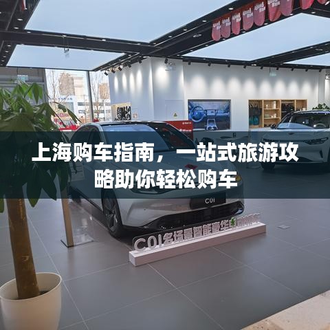 上海购车指南，一站式旅游攻略助你轻松购车