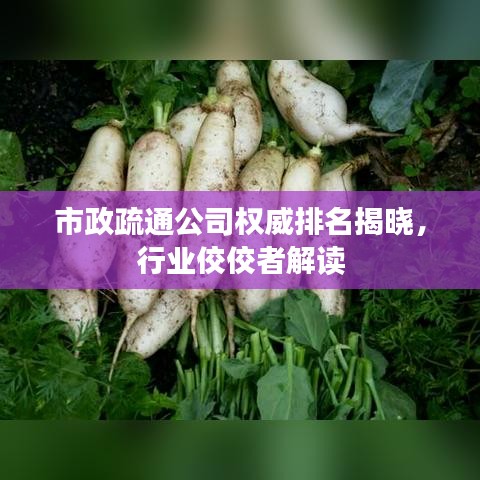 市政疏通公司权威排名揭晓，行业佼佼者解读