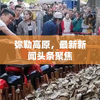 弥勒高原,最新新闻头条聚焦