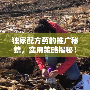 独家配方药的推广秘籍,实用策略揭秘!