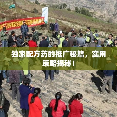 独家配方药的推广秘籍,实用策略揭秘!