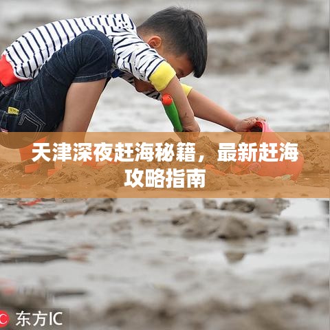 天津深夜赶海秘籍，最新赶海攻略指南