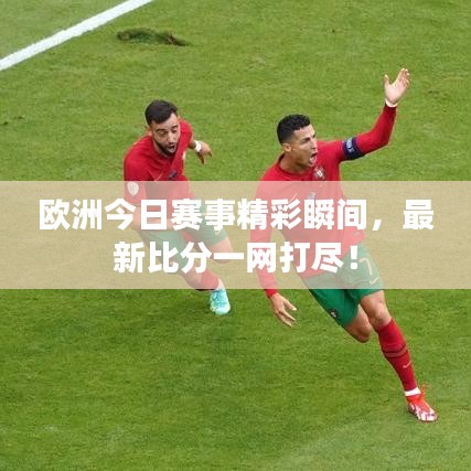 欧洲今日赛事精彩瞬间，最新比分一网打尽！
