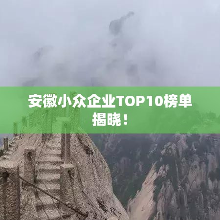 安徽小众企业TOP10榜单揭晓！