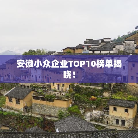 安徽小众企业TOP10榜单揭晓!