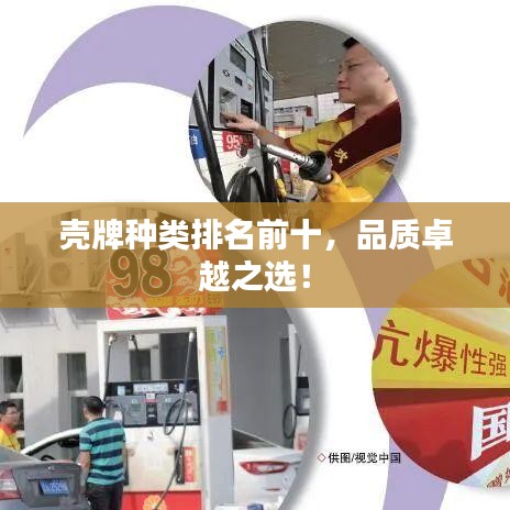 壳牌种类排名前十,品质卓越之选!