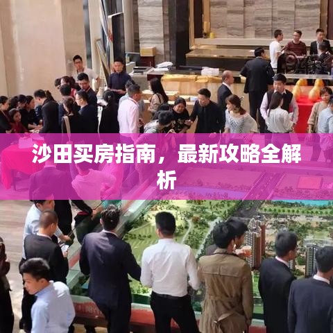 沙田买房指南,最新攻略全解析