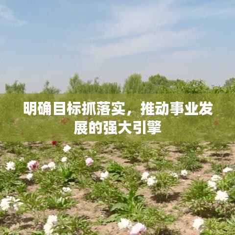 明确目标抓落实,推动事业发展的强大引擎