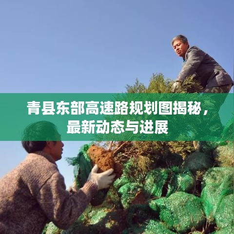 青县东部高速路规划图揭秘，最新动态与进展