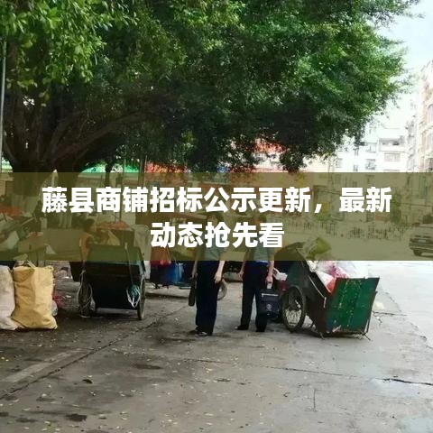 藤县商铺招标公示更新,最新动态抢先看