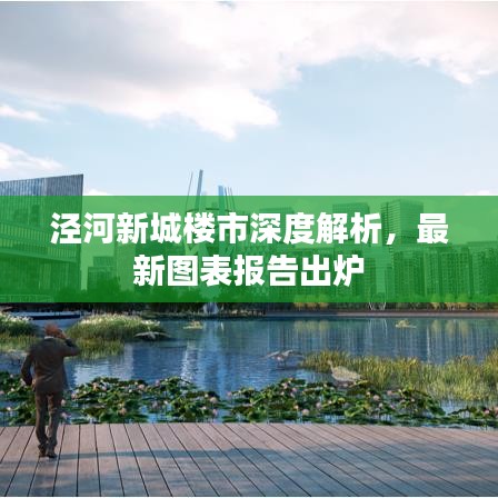 泾河新城楼市深度解析,最新图表报告出炉