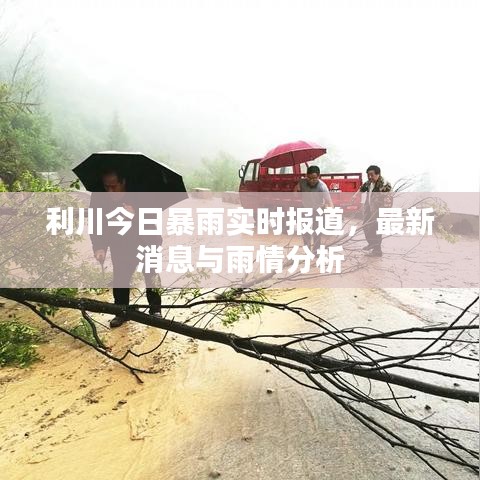 利川今日暴雨实时报道,最新消息与雨情分析