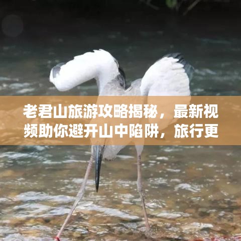 老君山旅游攻略揭秘,最新视频助你避开山中陷阱,旅行更安心!