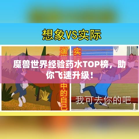 魔兽世界经验药水TOP榜,助你飞速升级!