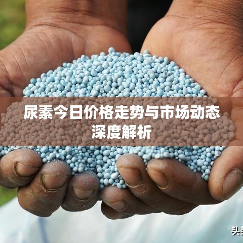 尿素今日价格走势与市场动态深度解析