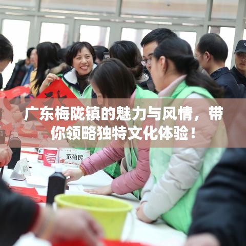 广东梅陇镇的魅力与风情,带你领略独特文化体验!