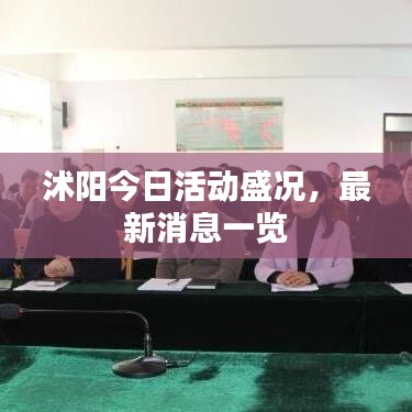 沭阳今日活动盛况,最新消息一览
