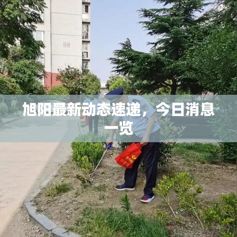 旭阳最新动态速递,今日消息一览