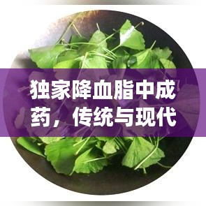 独家降血脂中成药,传统与现代完美融合,健康之选!
