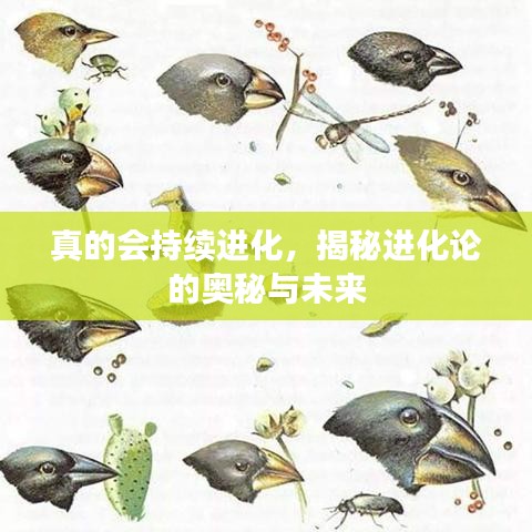 真的会持续进化，揭秘进化论的奥秘与未来