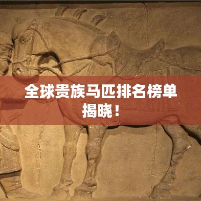 全球贵族马匹排名榜单揭晓!
