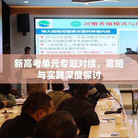 新高考单元专题对接,策略与实践深度探讨