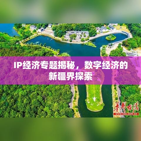 IP经济专题揭秘,数字经济的新疆界探索