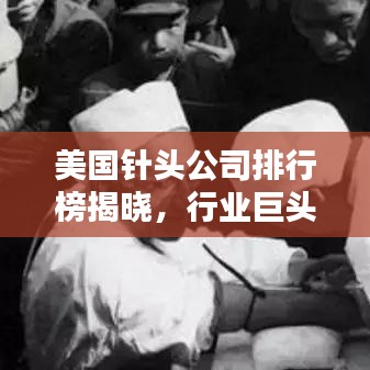 美国针头公司排行榜揭晓，行业巨头TOP排名榜单！