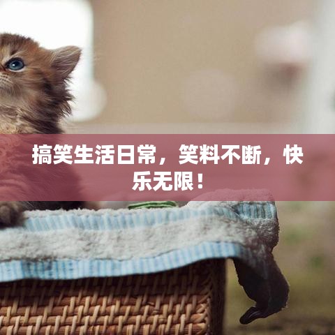 搞笑生活日常，笑料不断，快乐无限！