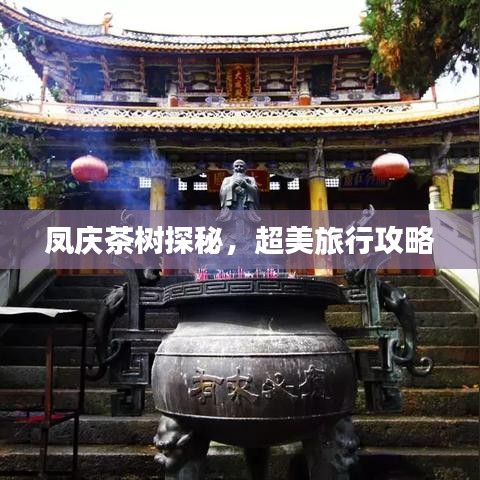 凤庆茶树探秘,超美旅行攻略