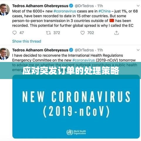 应对突发订单的处理策略