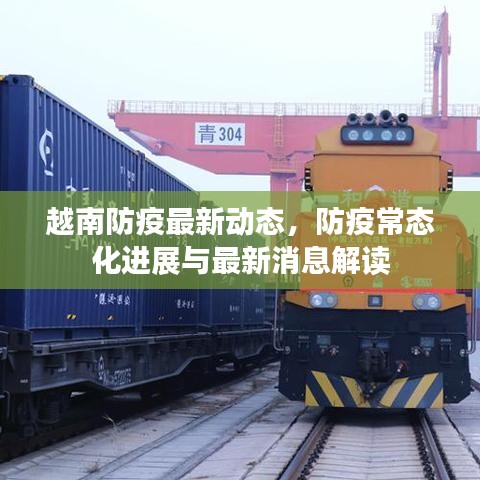 越南防疫最新动态,防疫常态化进展与最新消息解读